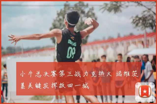 小牛总决赛第三战力克热火 诺维茨基关键发挥扳回一城