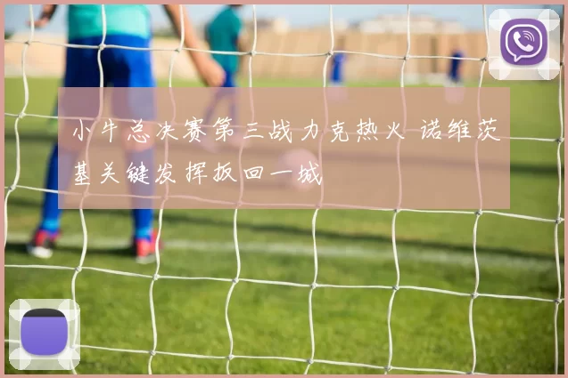 小牛总决赛第三战力克热火 诺维茨基关键发挥扳回一城