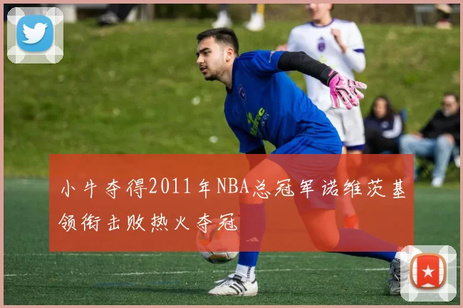 小牛夺得2011年NBA总冠军诺维茨基领衔击败热火夺冠